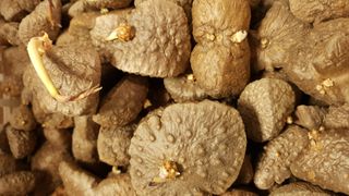 김지영님의 자유주제 · 자유게시판 작성글 사진