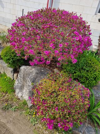 손병만님의 자유주제 · 자유게시판 작성글 사진