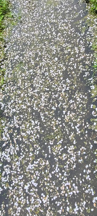 정진해님의 자유주제 · 자유게시판 작성글 사진