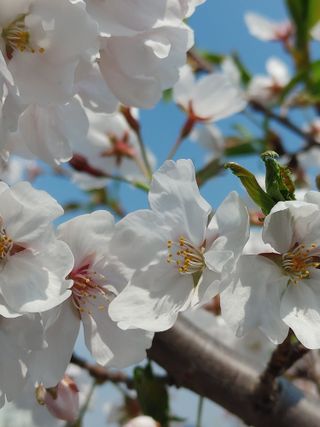 안길원님의 자유주제 · 자유게시판 작성글 사진
