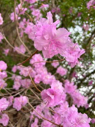 농린이님의 자유주제 · 자유게시판 작성글 사진