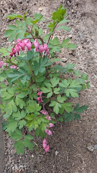 MSG0074님의 자유주제 · 자유게시판 작성글 사진