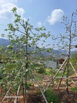 팜모닝 농사, 무엇이든 물어보세요!·참여글 게시글 이미지