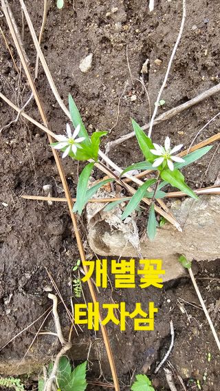 장철식님의 자유주제 · 자유게시판 작성글 사진