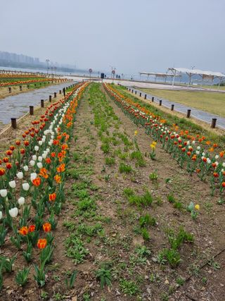 손병만님의 자유주제 · 자유게시판 작성글 사진
