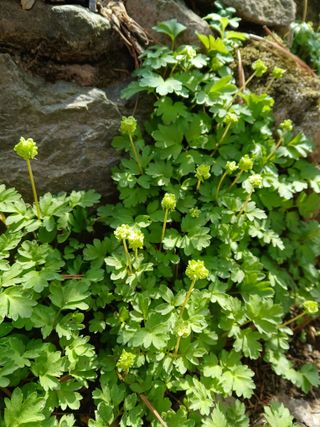 인생은 소풍처럼님의 자유주제 · 자유게시판 작성글 사진