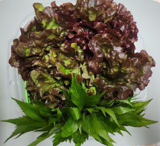 정미리님의 자유주제 · 자유게시판 작성글 사진