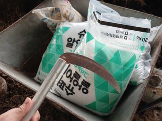 알 수 없음님의 자유주제 · 자유게시판 작성글 사진