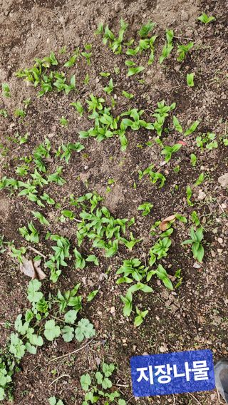 고추건조기부품판매님의 자유주제 · 자유게시판 작성글 사진