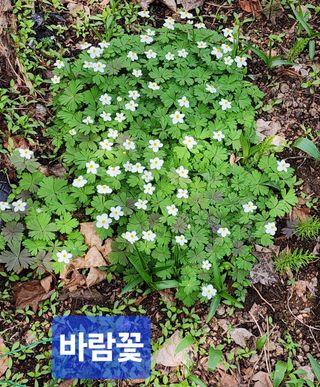 고추건조기부품판매님의 자유주제 · 자유게시판 작성글 사진