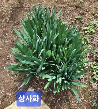 고추건조기부품판매님의 자유주제 · 자유게시판 작성글 사진