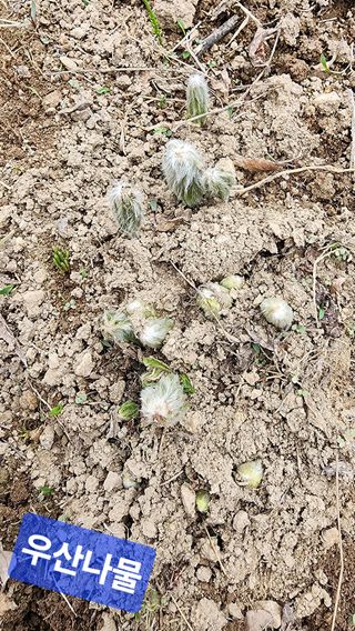 고추건조기부품판매님의 자유주제 · 자유게시판 작성글 사진