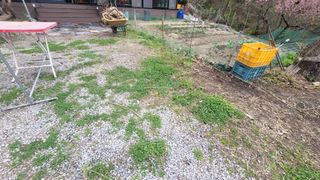 장경연님의 🌿농부님의 제초법은? · 참여글 작성글 사진