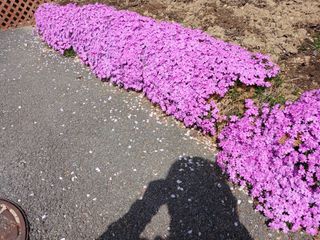 알 수 없음님의 자유주제 · 자유게시판 작성글 사진