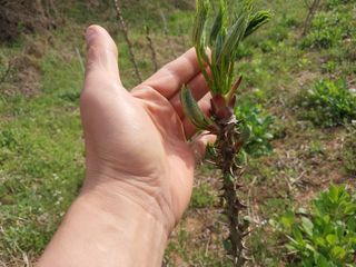 서산팔봉농원님의 자유주제 · 자유게시판 작성글 사진