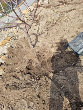 김용대님의 자유주제 · 자유게시판 작성글 사진