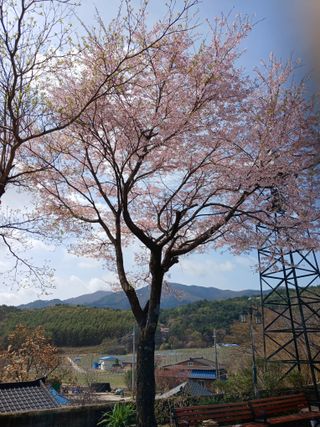 알 수 없음님의 자유주제 · 자유게시판 작성글 사진