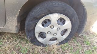 산골촌부님의 자유주제 · 자유게시판 작성글 사진