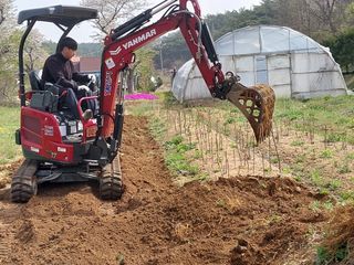 서산팔봉농원님의 자유주제 · 자유게시판 작성글 사진