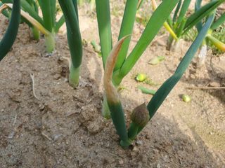 김양석님의 자유주제 · 자유게시판 작성글 사진