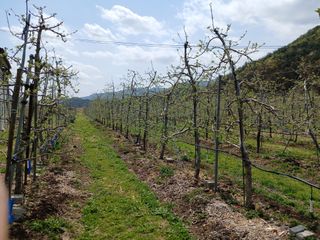 알 수 없음님의 자유주제 · 자유게시판 작성글 사진