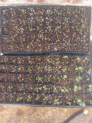 무료지식나눔 팜닥터님의 자유주제 · 자유게시판 작성글 사진