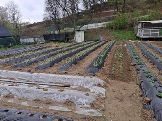 문영식님의 자유주제 · 자유게시판 작성글 사진