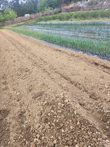 팜모닝 자유주제·사진전 게시글 이미지