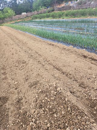 이성욱 님의 자유주제 · 사진전 작성글 사진