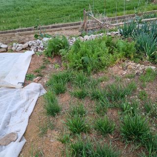 백현호님의 자유주제 · 자유게시판 작성글 사진