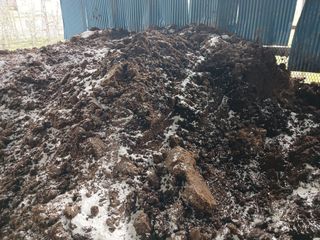 알 수 없음님의 자유주제 · 자유게시판 작성글 사진