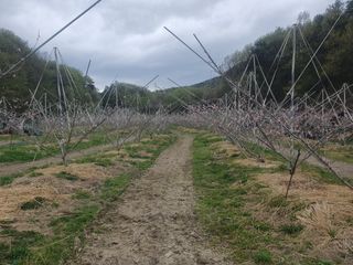 농부님의 🌿농부님의 제초법은? · 참여글 작성글 사진