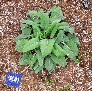 고추건조기부품판매님의 자유주제 · 자유게시판 작성글 사진