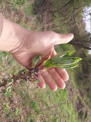 서산팔봉농원님의 자유주제 · 자유게시판 작성글 사진