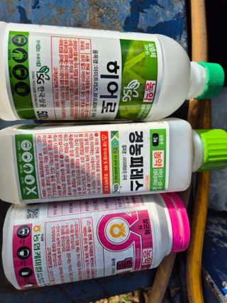 천운산님의 자유주제 · 자유게시판 작성글 사진