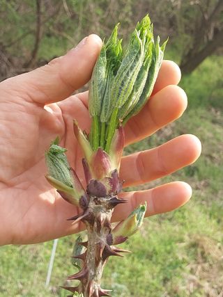 서산팔봉농원님의 자유주제 · 자유게시판 작성글 사진