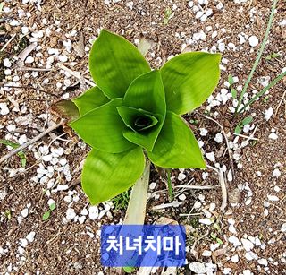고추건조기부품판매님의 자유주제 · 자유게시판 작성글 사진
