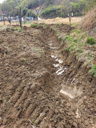 지식농부님의 자유주제 · 자유게시판 작성글 사진