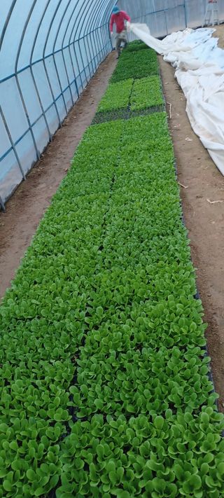 이.일신.꽃분아빠님의 자유주제 · 자유게시판 작성글 사진