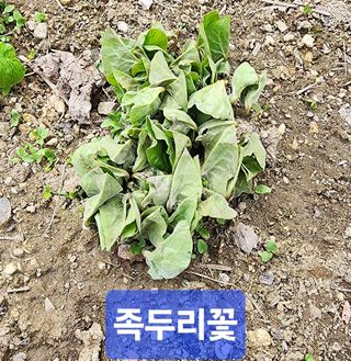 고추건조기부품판매님의 자유주제 · 자유게시판 작성글 사진