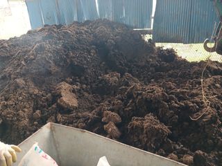 알 수 없음님의 자유주제 · 자유게시판 작성글 사진