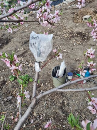 김용대님의 자유주제 · 자유게시판 작성글 사진