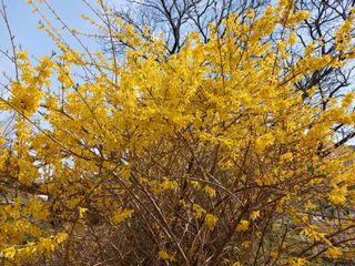 알 수 없음님의 자유주제 · 자유게시판 작성글 사진