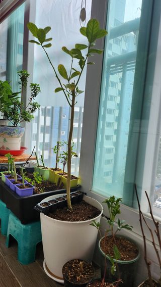 정미리님의 자유주제 · 자유게시판 작성글 사진