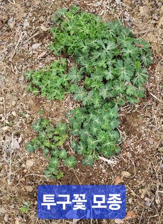 고추건조기부품판매님의 자유주제 · 자유게시판 작성글 사진