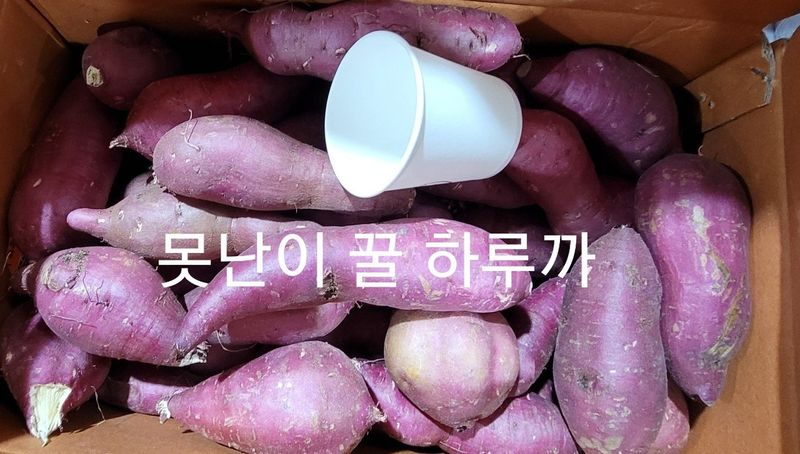 사랑꽃농장님의 장터 판매 상품 [고급진) 못난이 하루까 고구마10kg] 첨부 사진