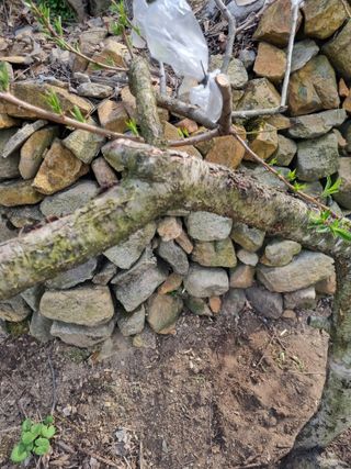 김용대님의 자유주제 · 자유게시판 작성글 사진