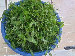 황강순님의 작성글 사진