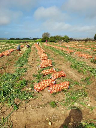 나는멋쟁이님의 자유주제 · 자유게시판 작성글 사진