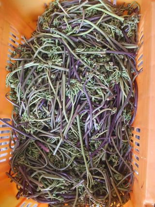 조상길님의 작성글 사진